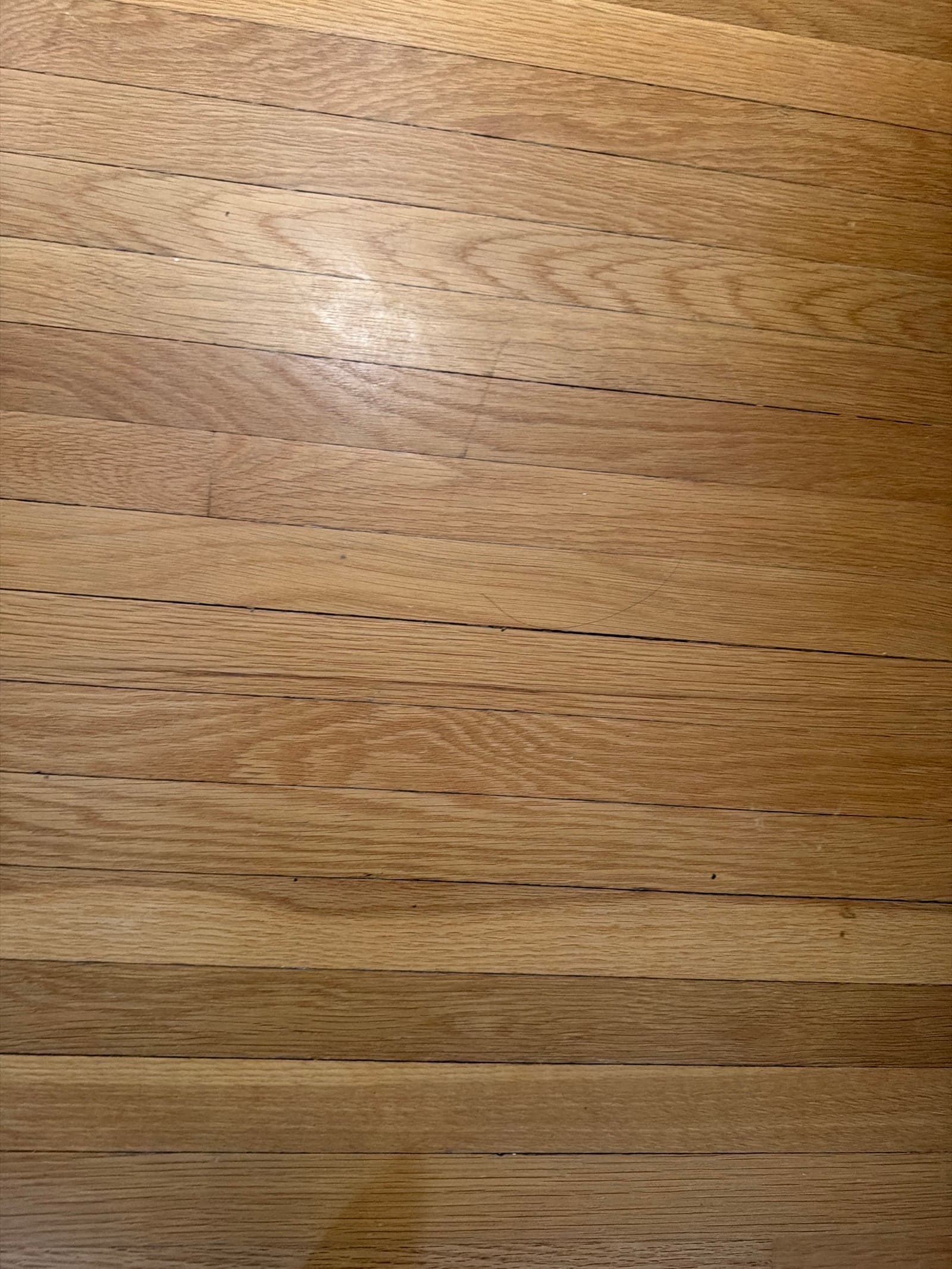 Fix noisy laminate flooring — photo 1