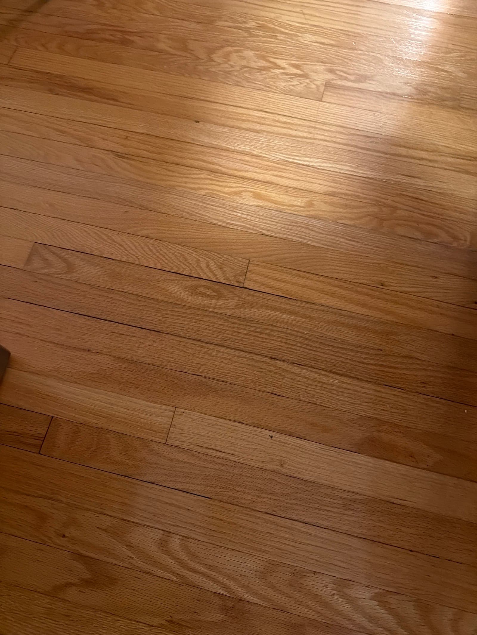 hardwood floor — photo 1