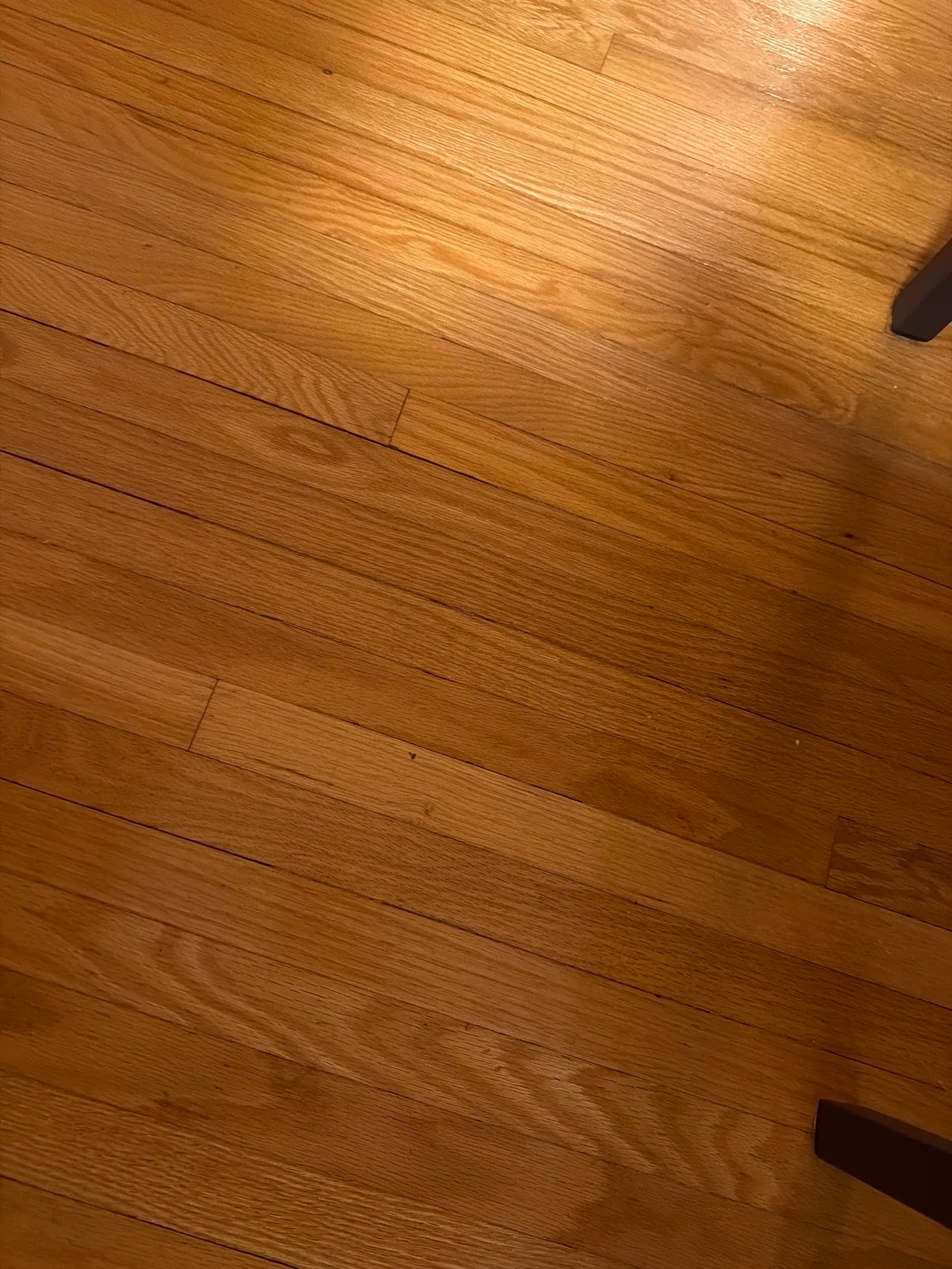 hardwood — photo 1