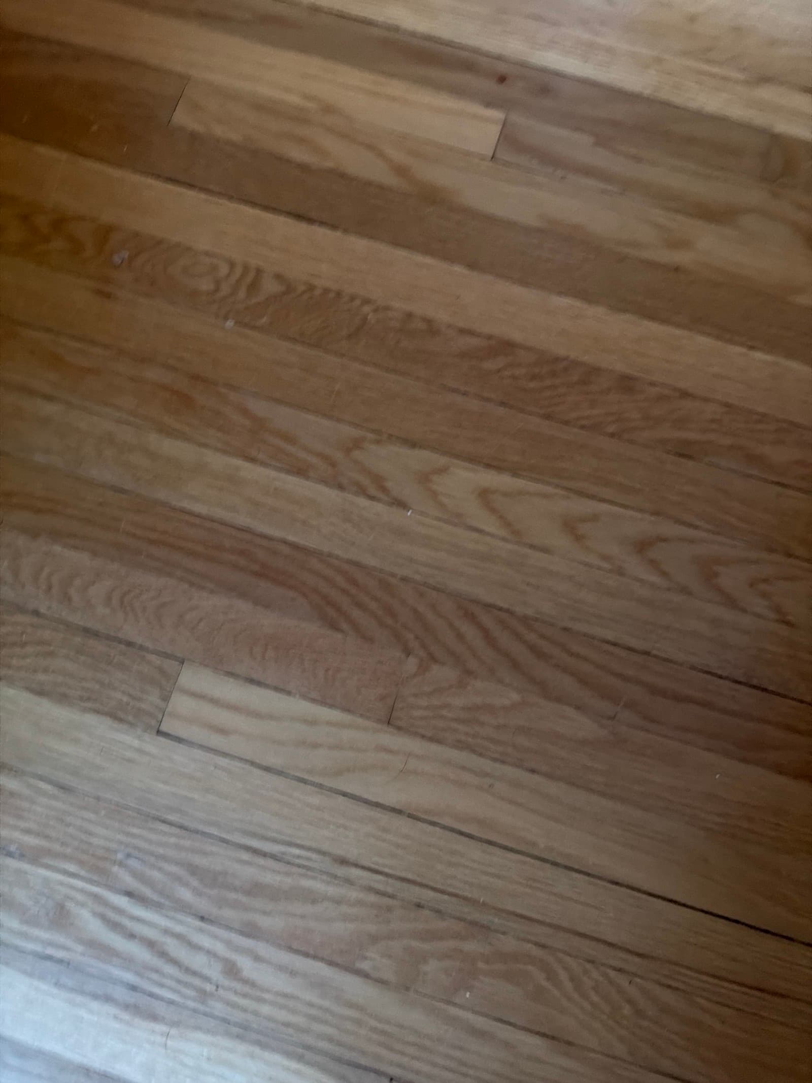 hardwood floor — photo 1
