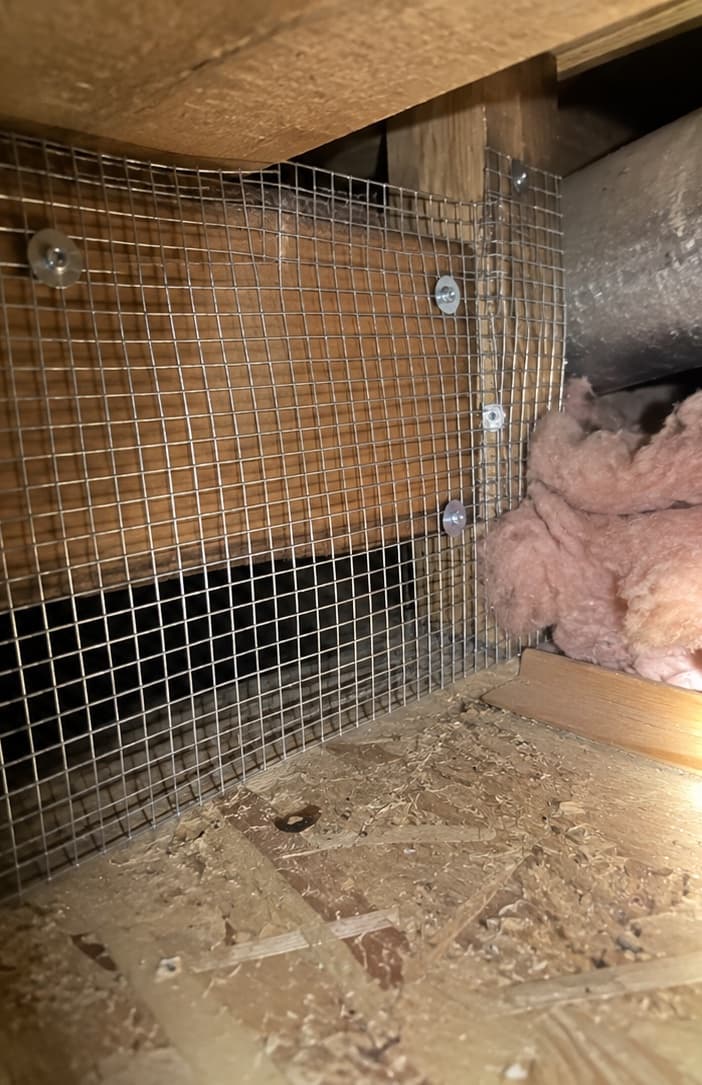 Pest-control services — photo 2
