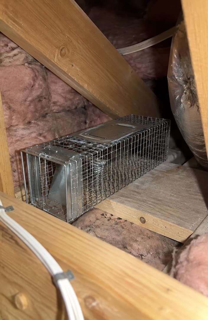 Pest-control technician: Termites, rodents, insects, — photo 2