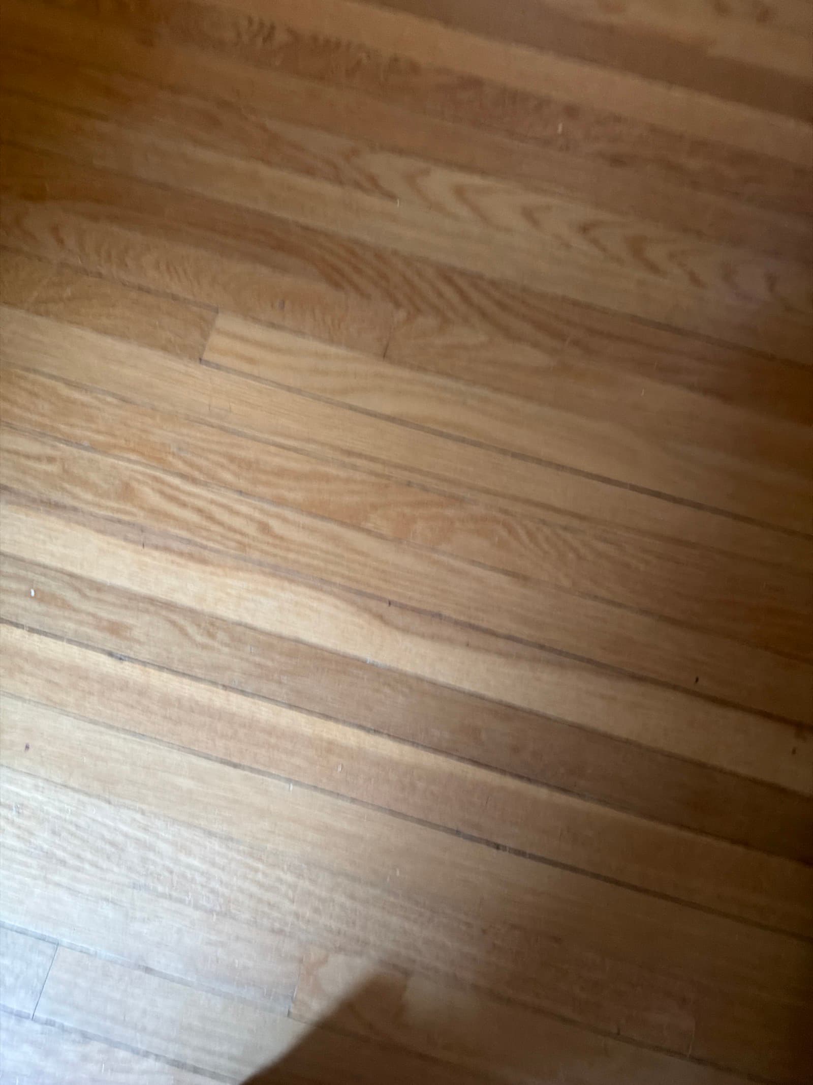 tile — photo 1